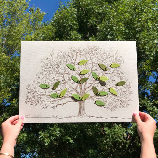 Family Tree | Refill Packs