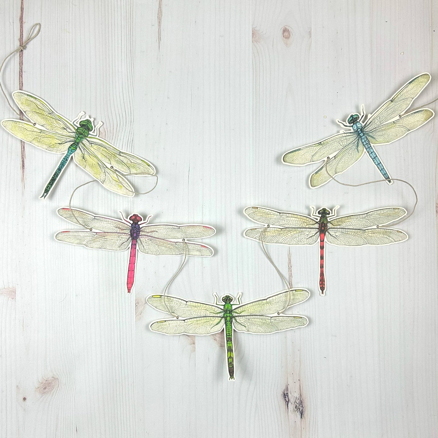 Dragonfly Illustrated Garland