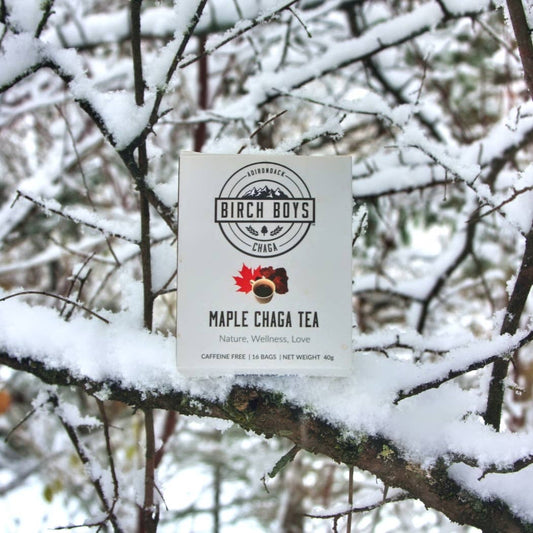 Maple Chaga Tea Bags