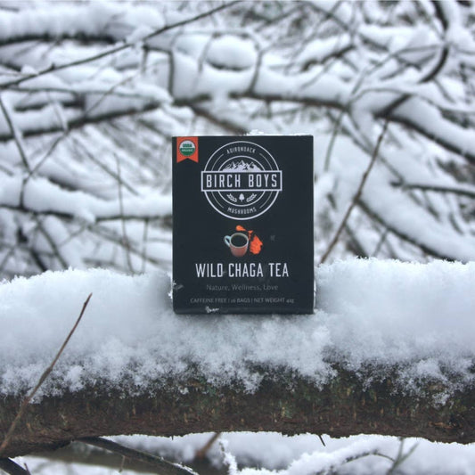Wild Organic Chaga Tea Bags