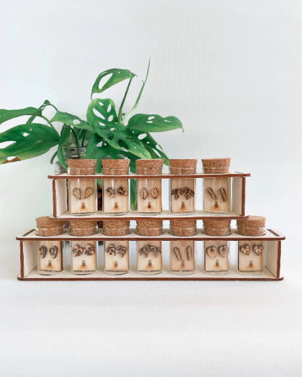 Hypoallergenic Wooden Tiny Dainty Plant Studs