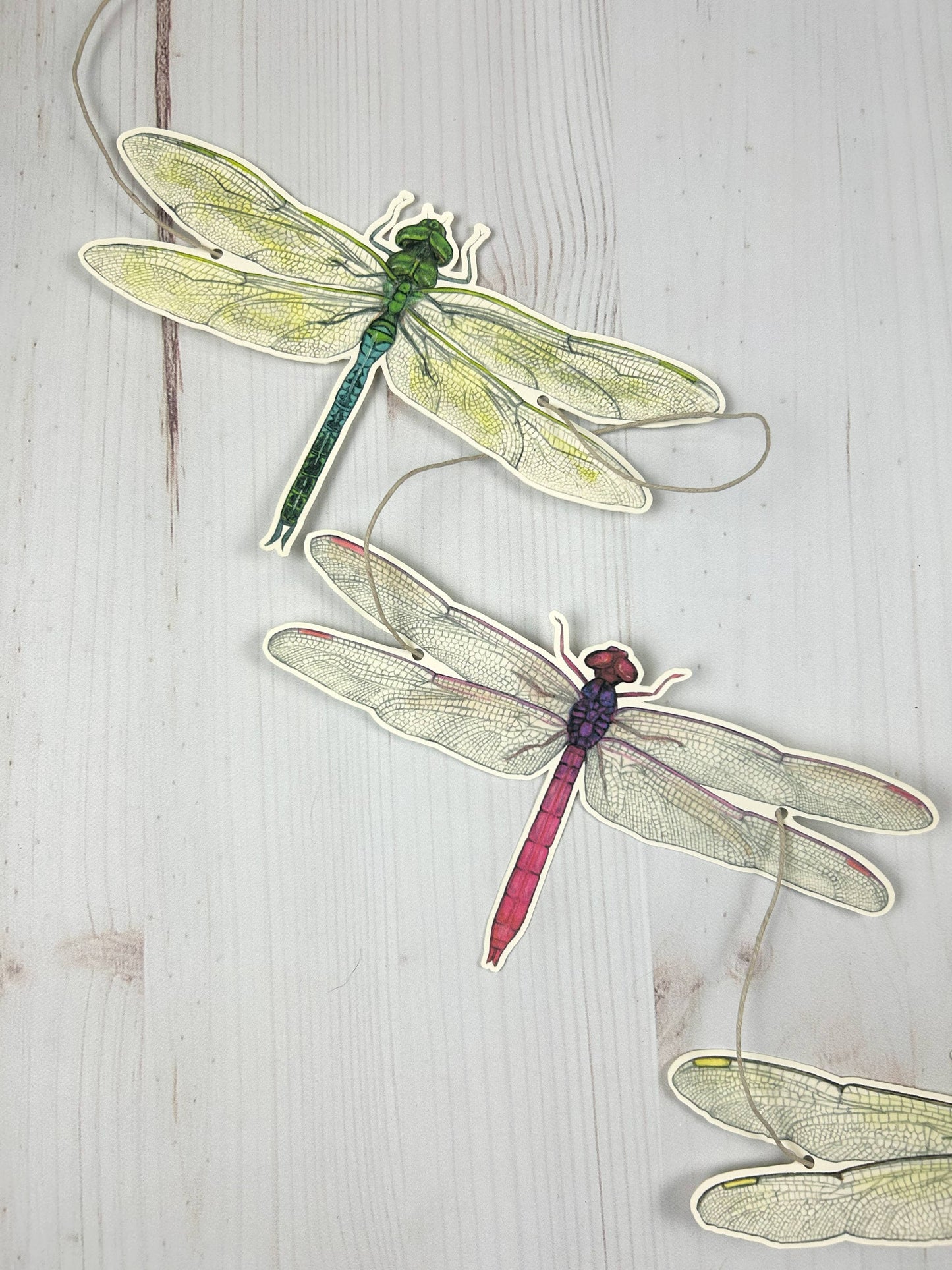 Dragonfly Illustrated Garland