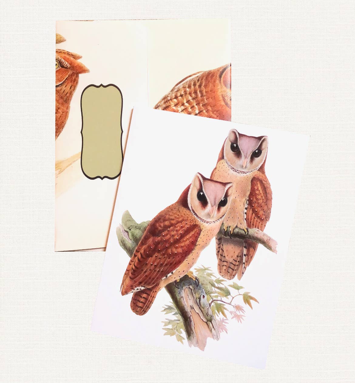 Boxed Set of 8 Vintage Owl Greeting Cards