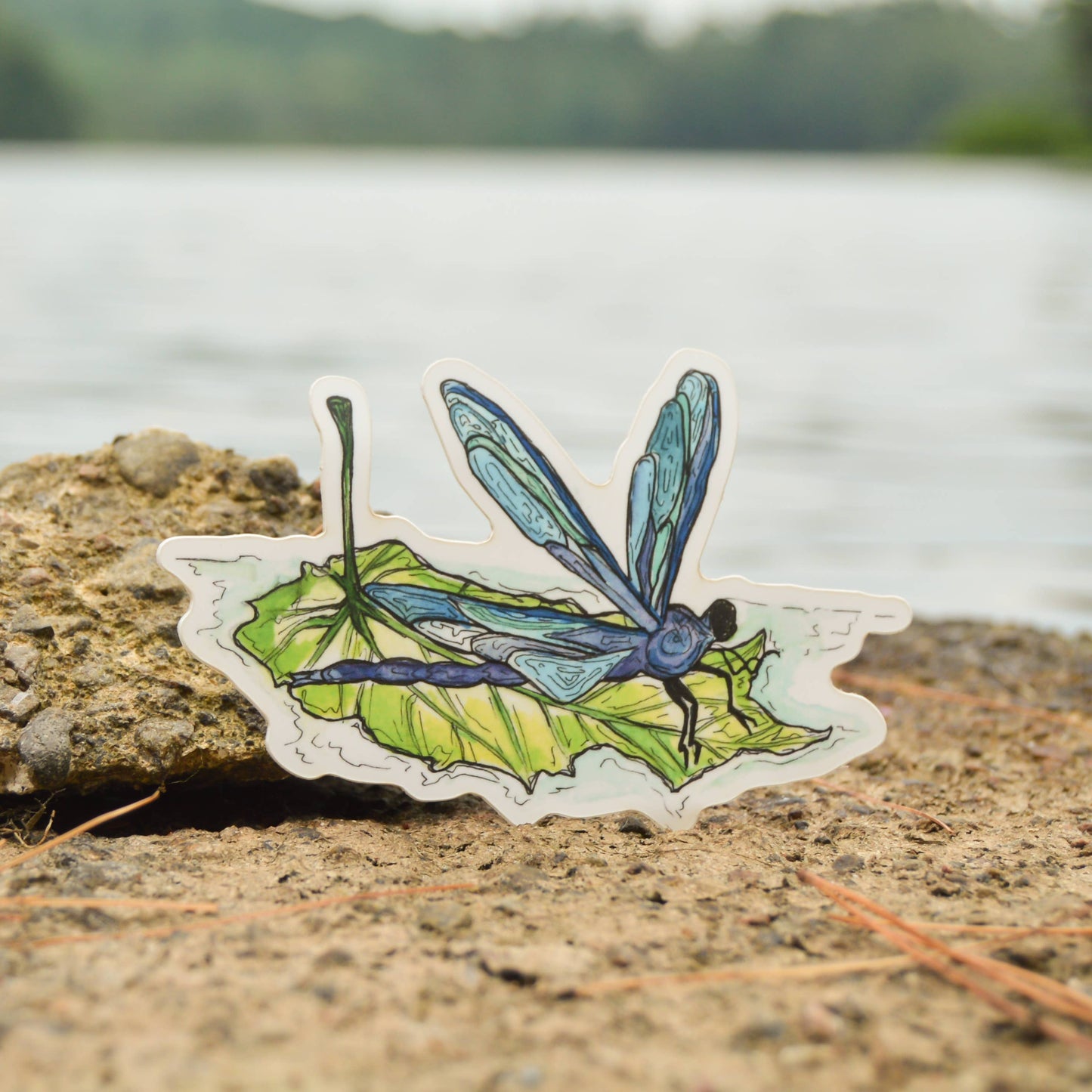 Dragonfly on Leaf Sticker