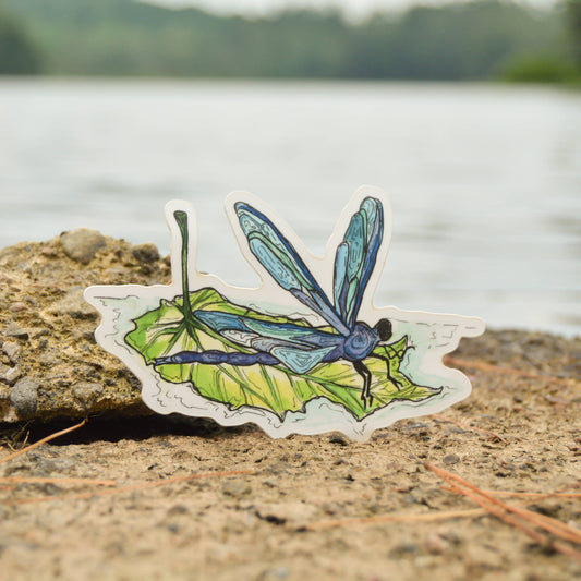 Dragonfly on Leaf Sticker