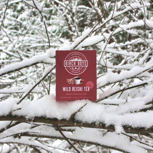 Wild Reishi Tea