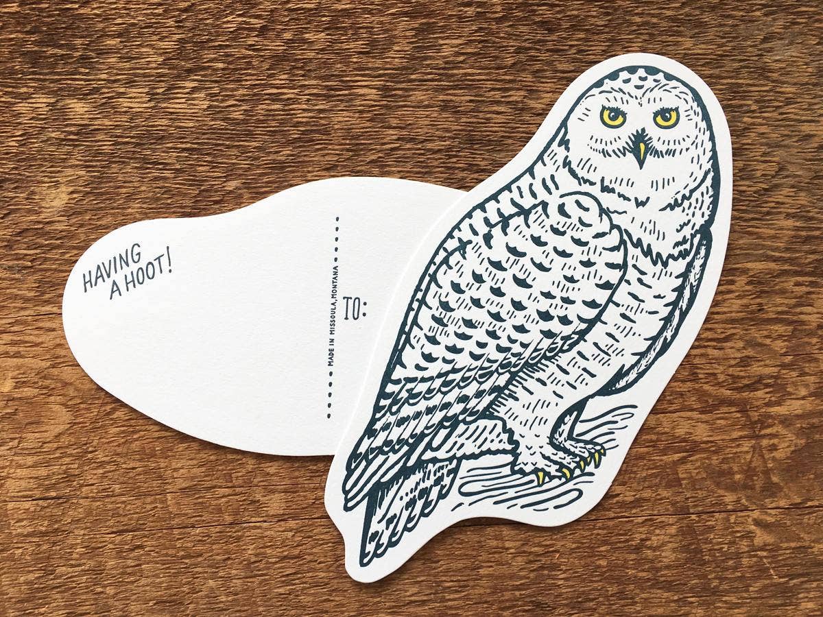 Snowy Owl Postcard