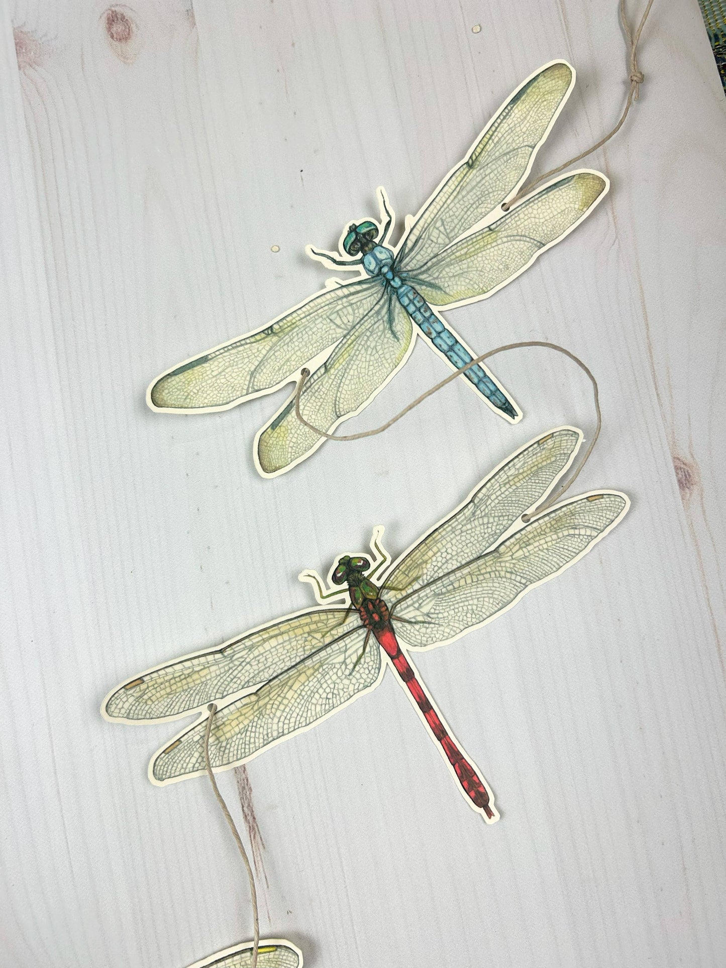 Dragonfly Illustrated Garland