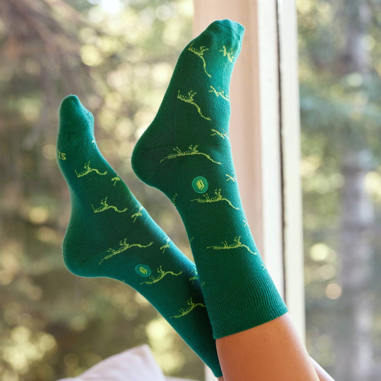 Socks that Give Books  (Green Dinosaurs): Medium