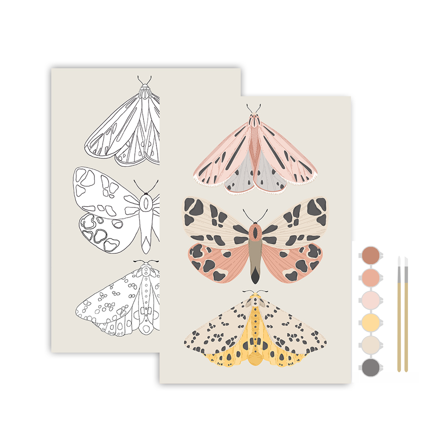 Vintage Butterflies Meditative Art Paint by Number Kit