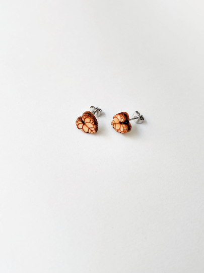 Hypoallergenic Wooden Tiny Dainty Plant Studs