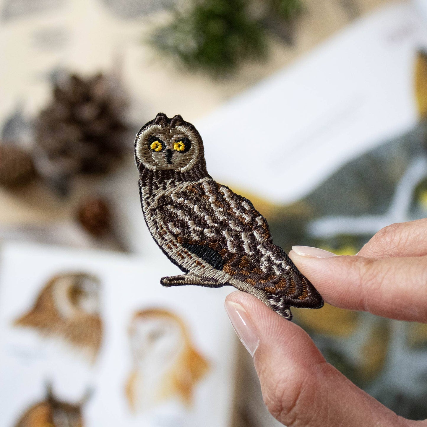 Short-Eared Owl Patch
