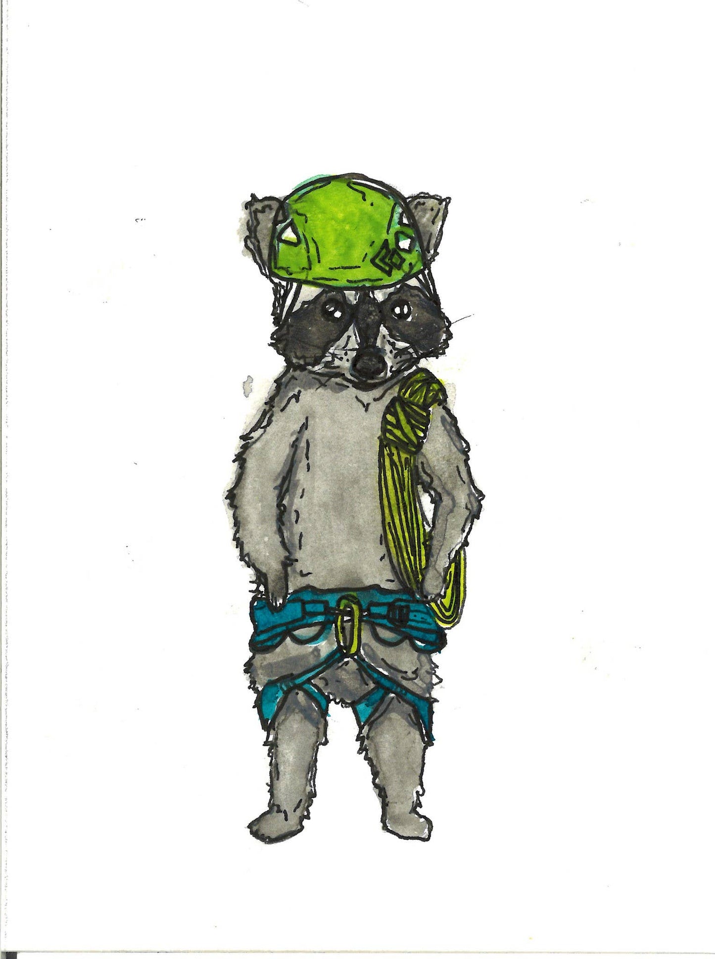 Climbing Raccoon Sticker