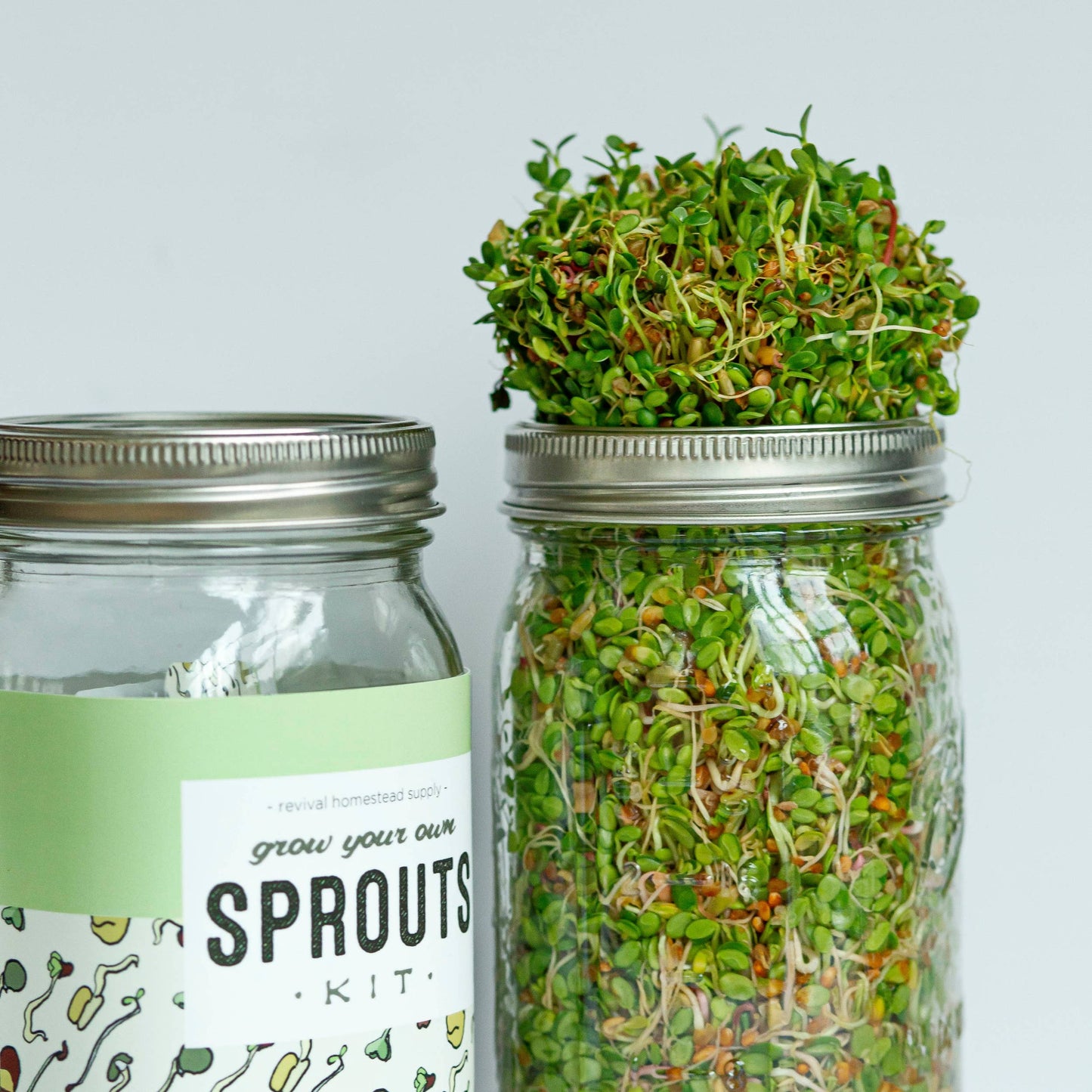 Sprout Kit, Grow Your Own, DIY