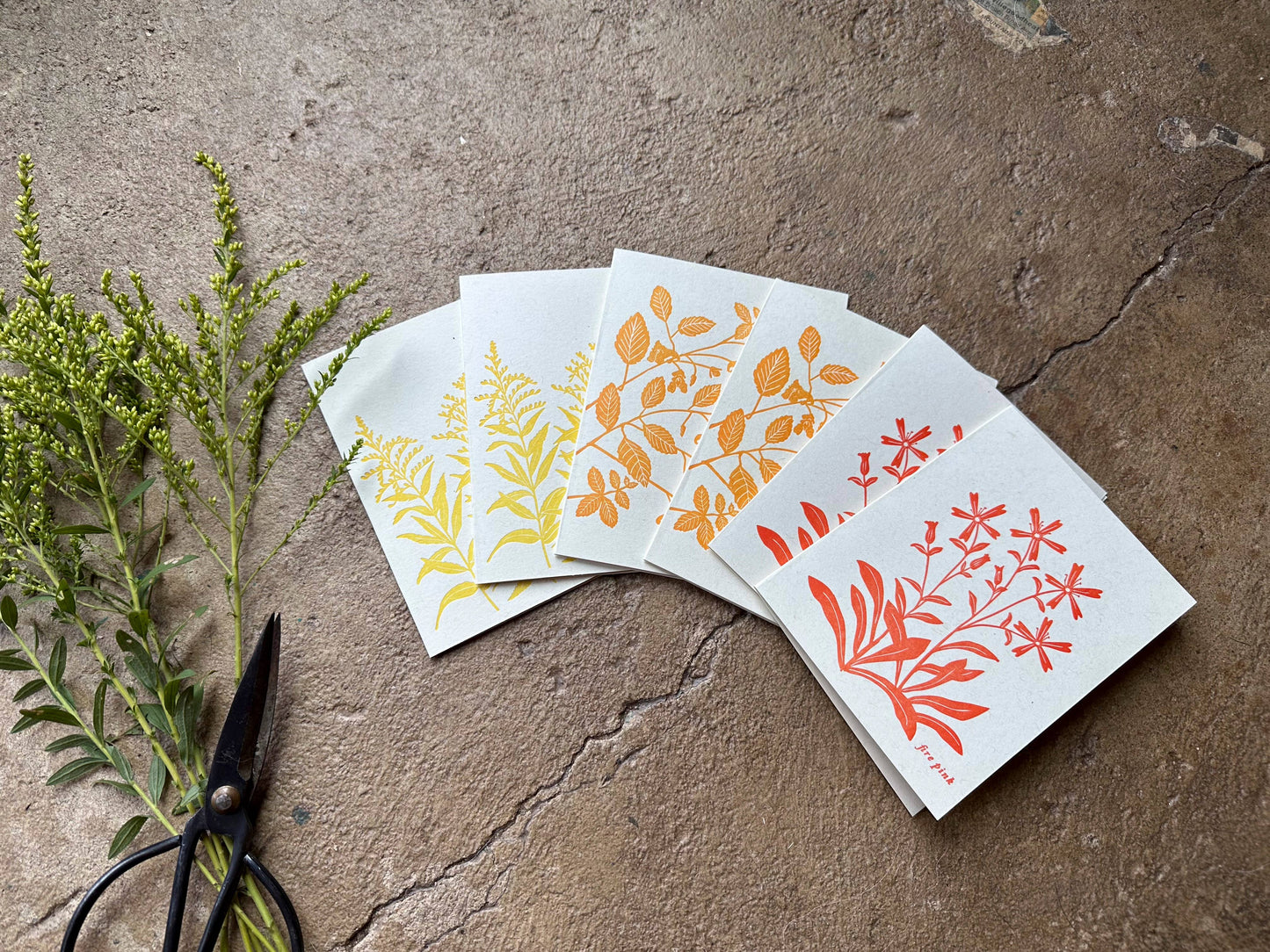 Goldenrod Late Summer Wildflower Letterpress Card