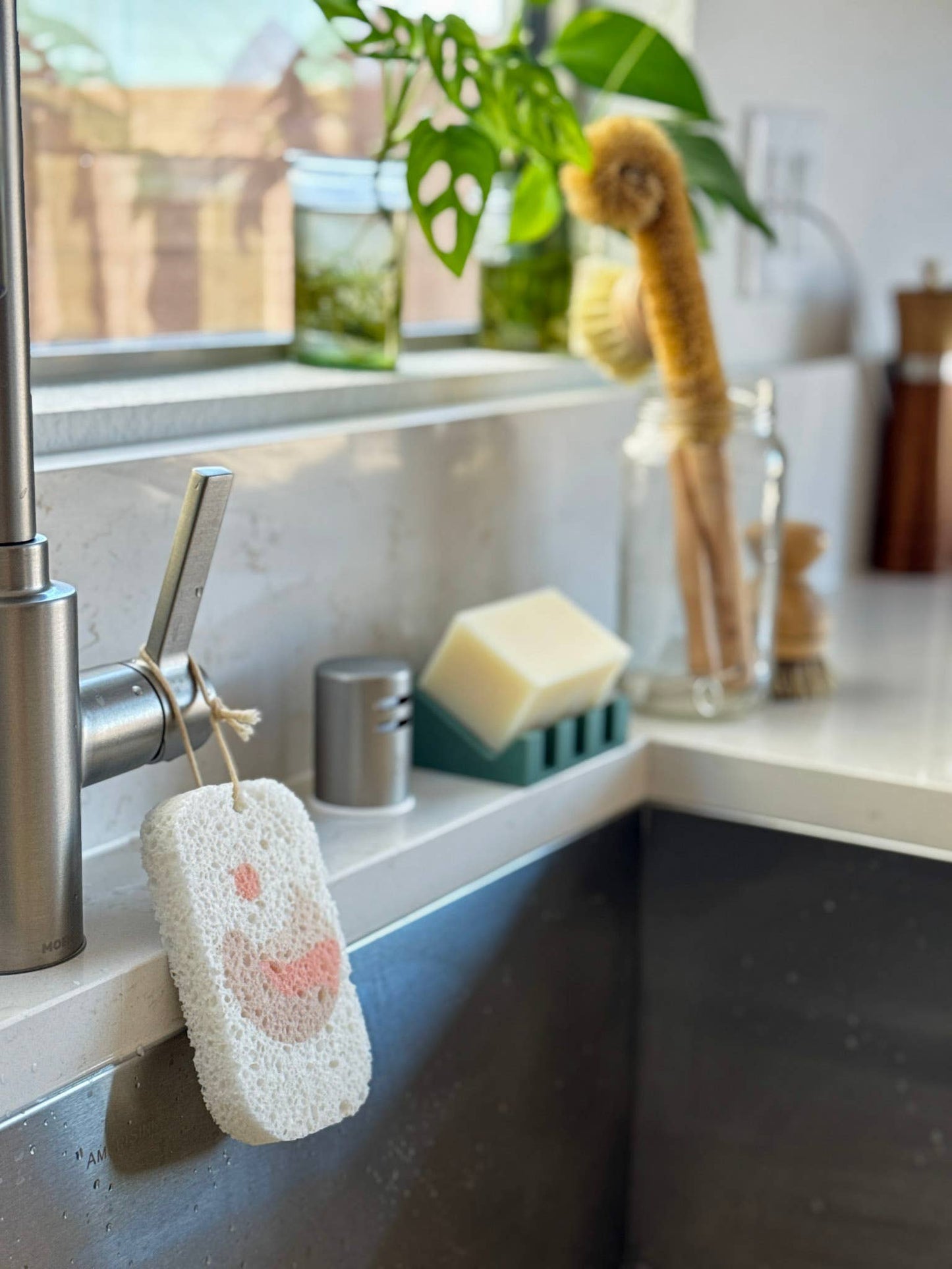 Pop Up Dish Sponges 3-Pack | Compostable + Zero Waste