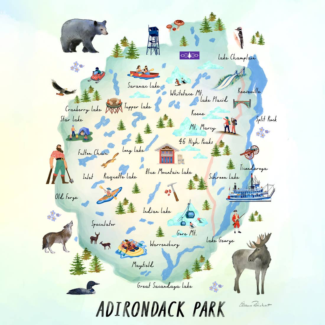 Adirondack Park Folded Notecard, Individual Card