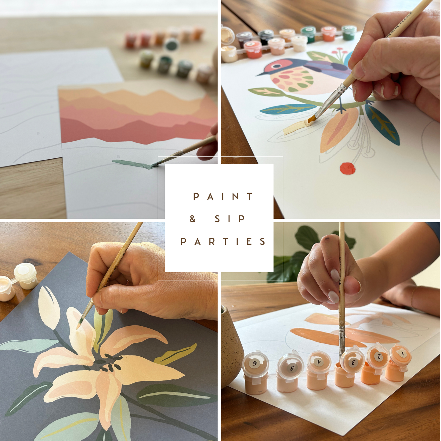 Vintage Butterflies Meditative Art Paint by Number Kit