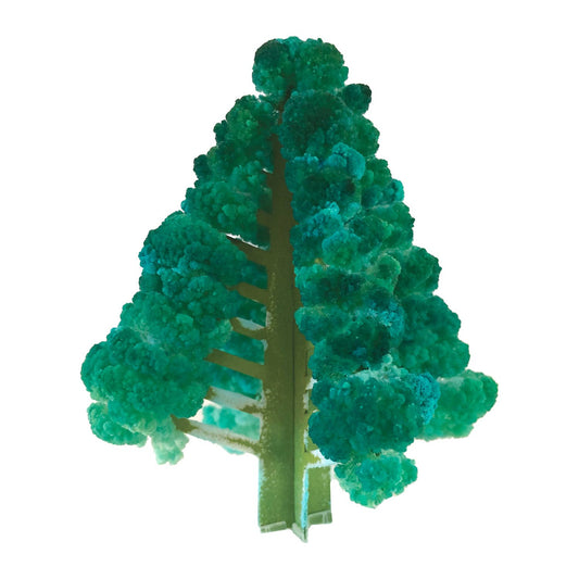 Crystal Growing Balsam Fir