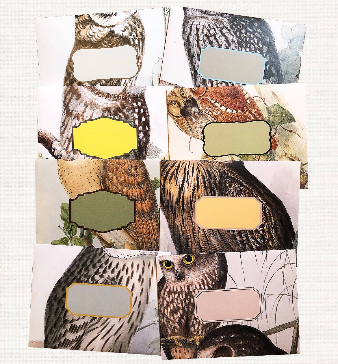 Boxed Set of 8 Vintage Owl Greeting Cards