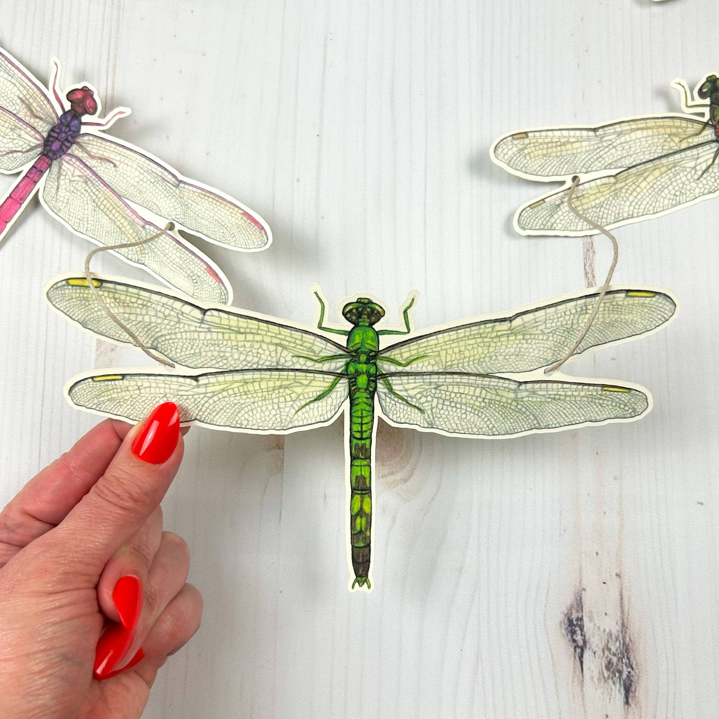 Dragonfly Illustrated Garland