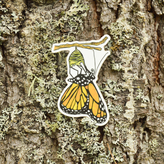Monarch Butterfly Emerging Sticker