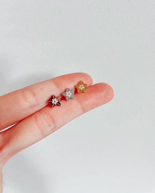 Hoya Blooms | Earrings studs