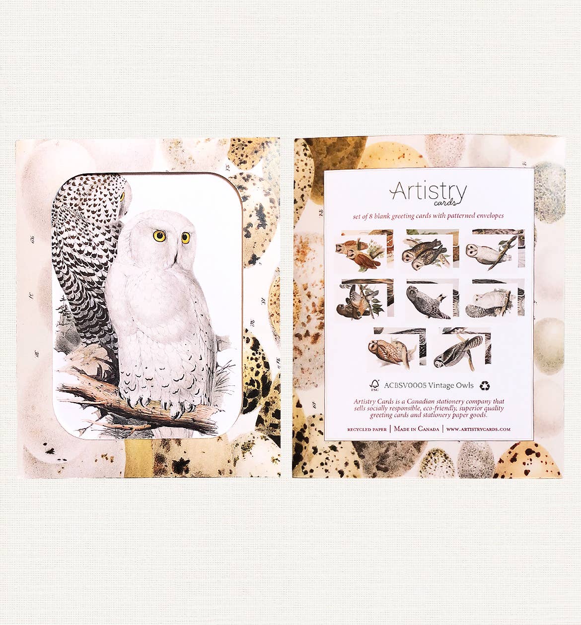 Boxed Set of 8 Vintage Owl Greeting Cards