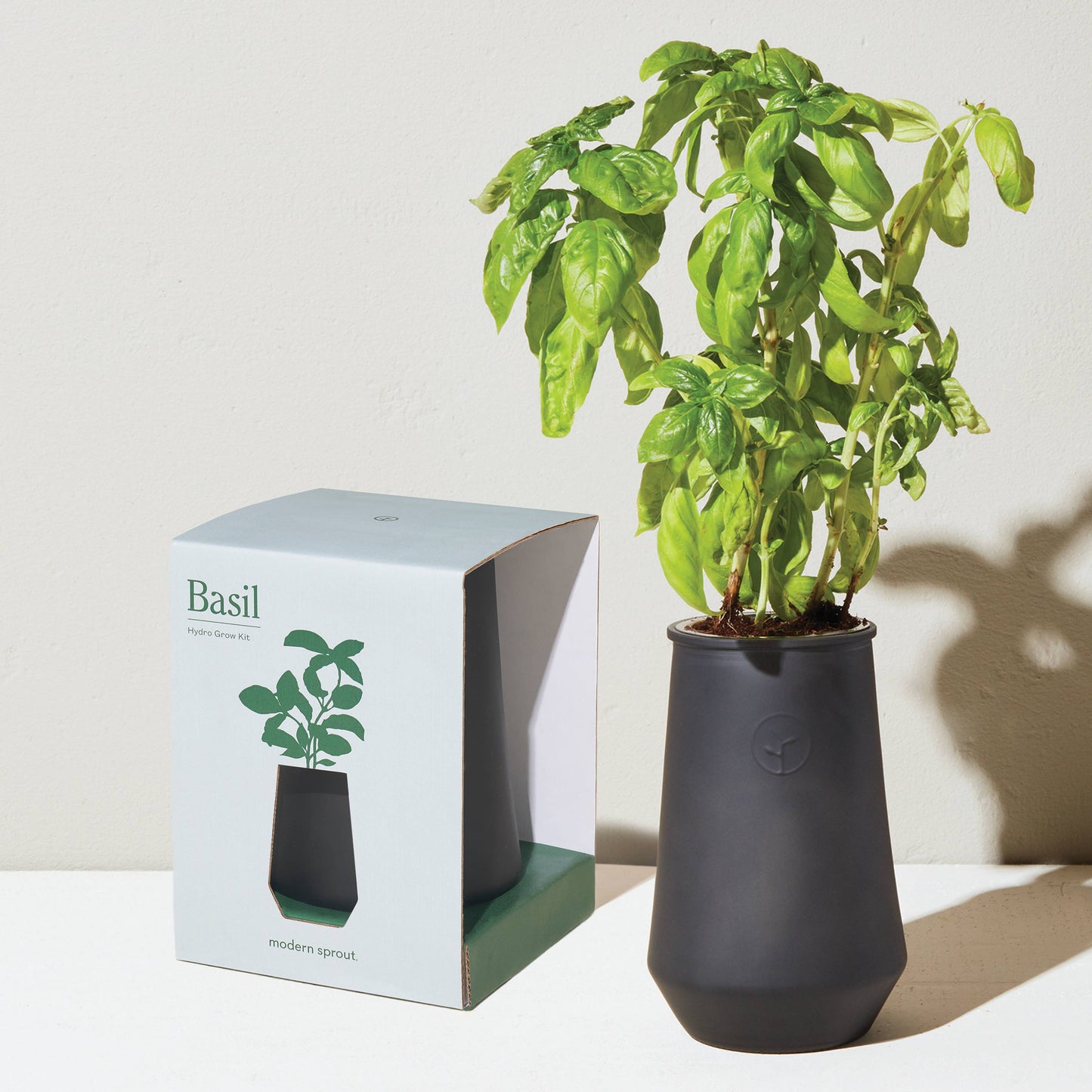Tapered Tumbler