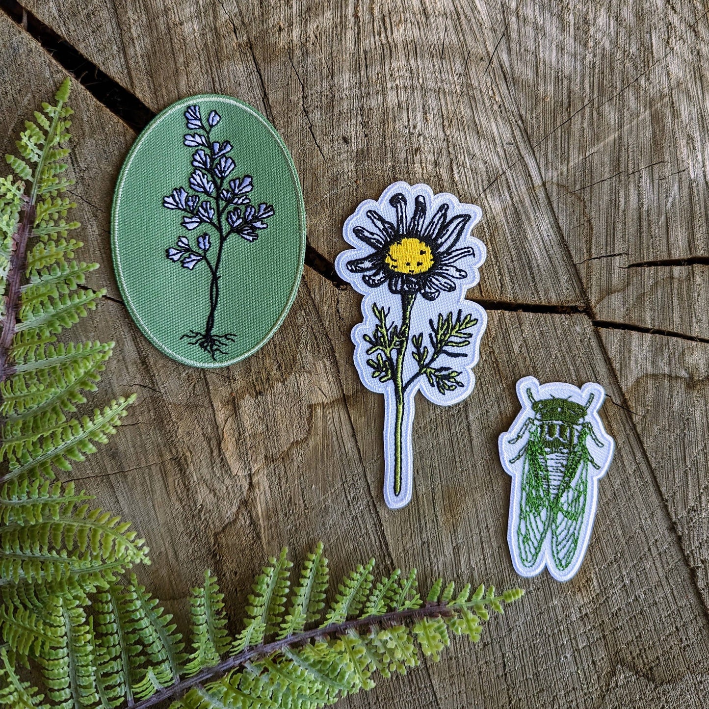 Patch | maidenhair fern