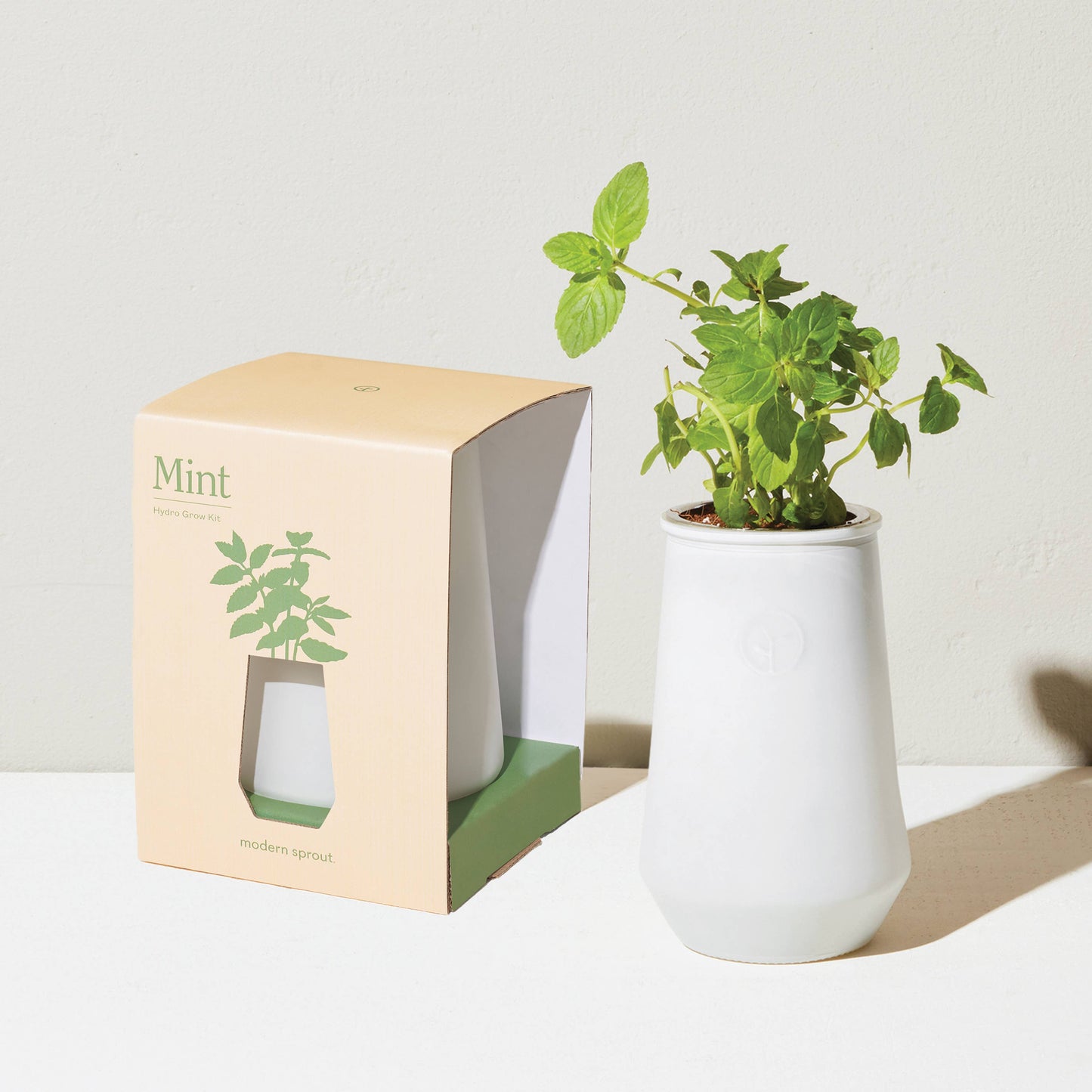 Tapered Tumbler