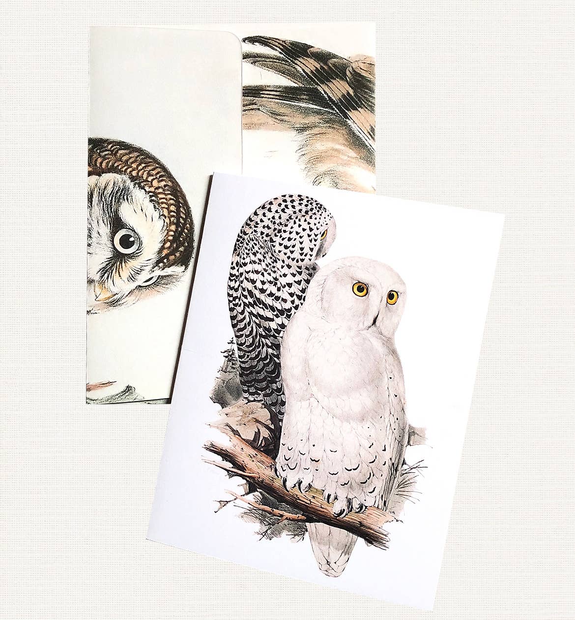 Boxed Set of 8 Vintage Owl Greeting Cards