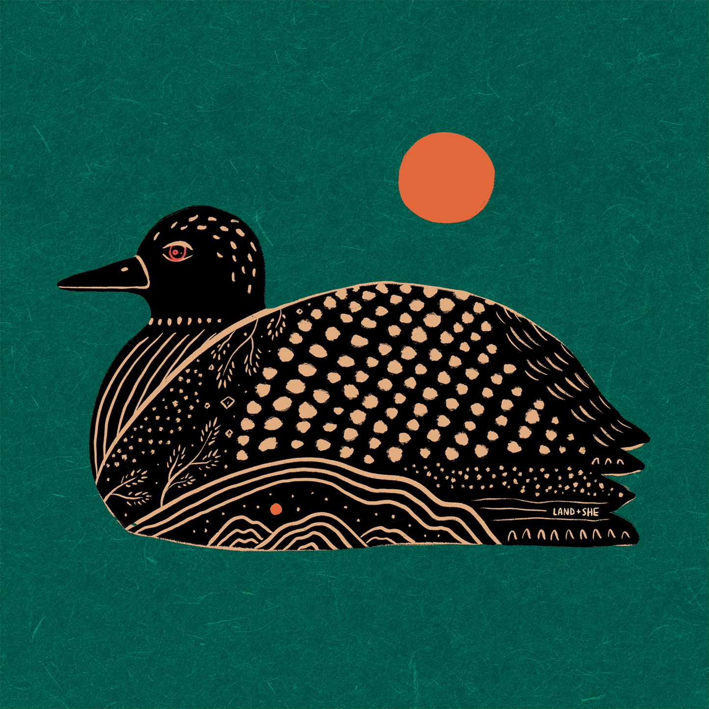 Loon (Teal)