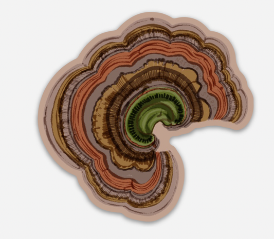 Turkey Tail Mushroom waterproof decal sticker mushrooms