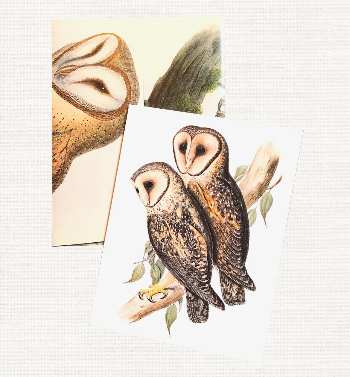 Boxed Set of 8 Vintage Owl Greeting Cards
