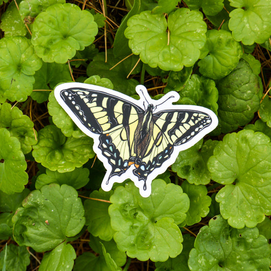 Swallowtail Butterfly Sticker