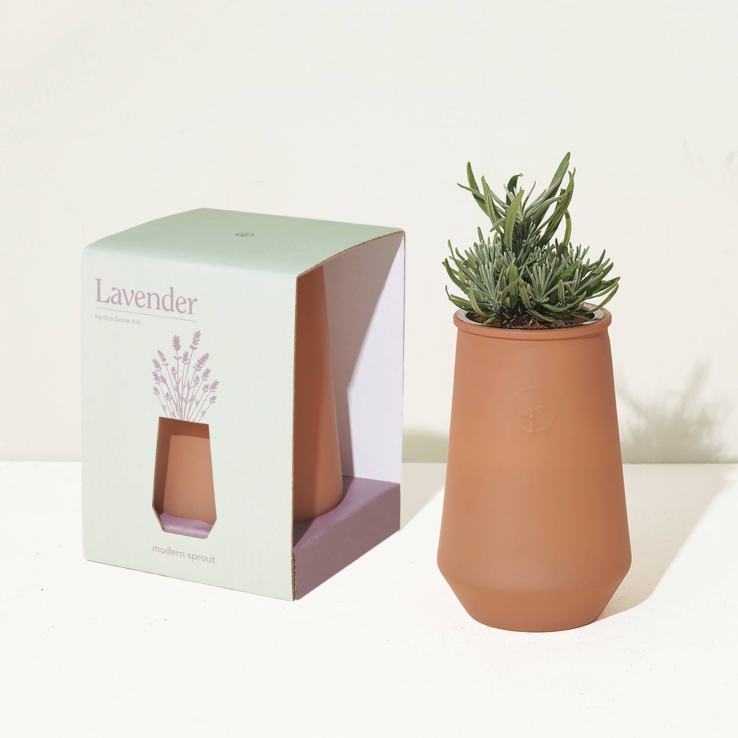 Tapered Tumbler