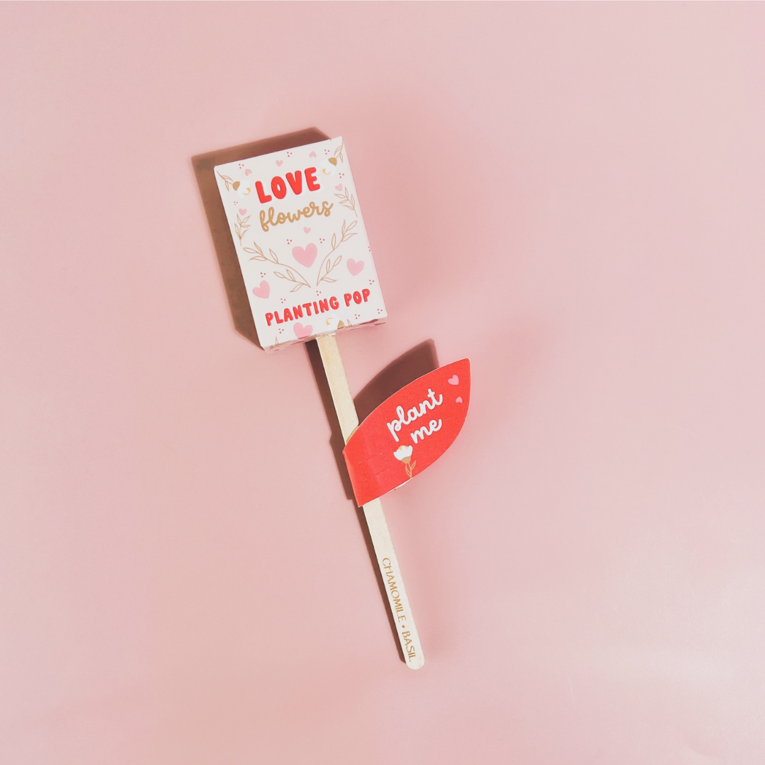 Love Flowers Garden + Gift Seed Planting Pop