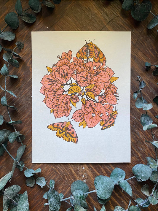 Sheep Moths + Bougainvillea Flowers 6x8" Giclee Print