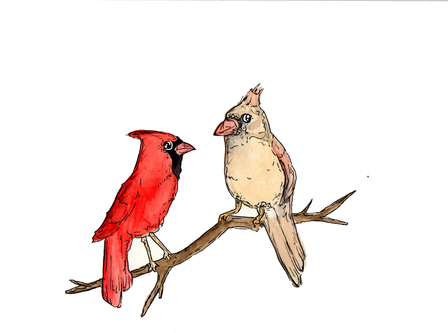 Cardinal Pair Sticker
