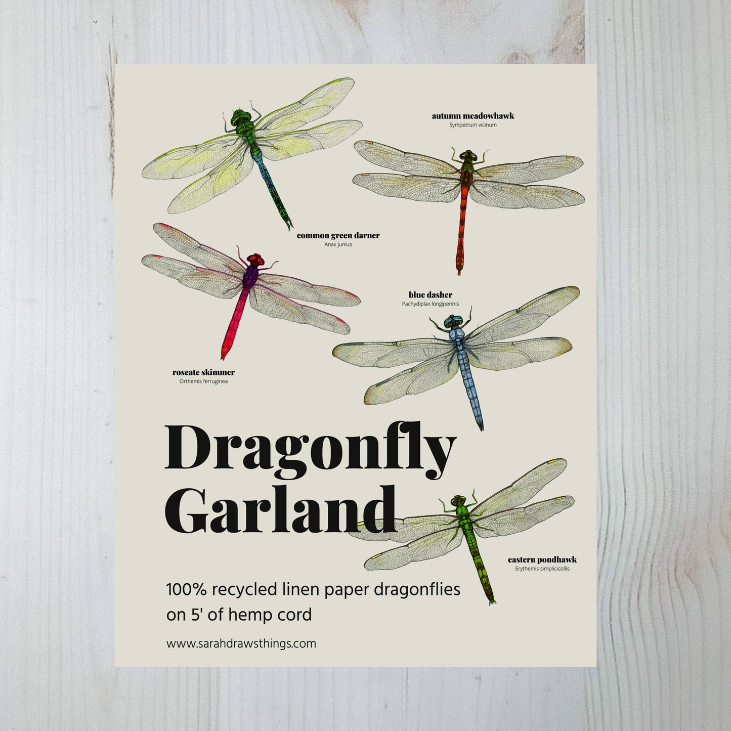Dragonfly Illustrated Garland