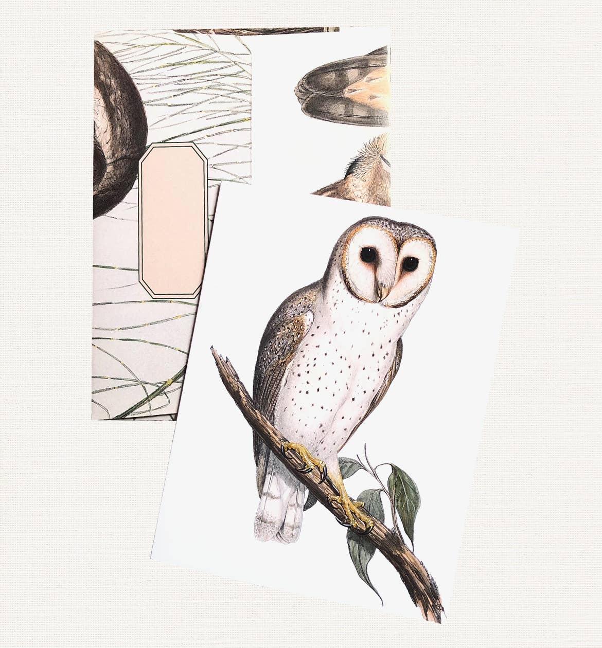 Boxed Set of 8 Vintage Owl Greeting Cards