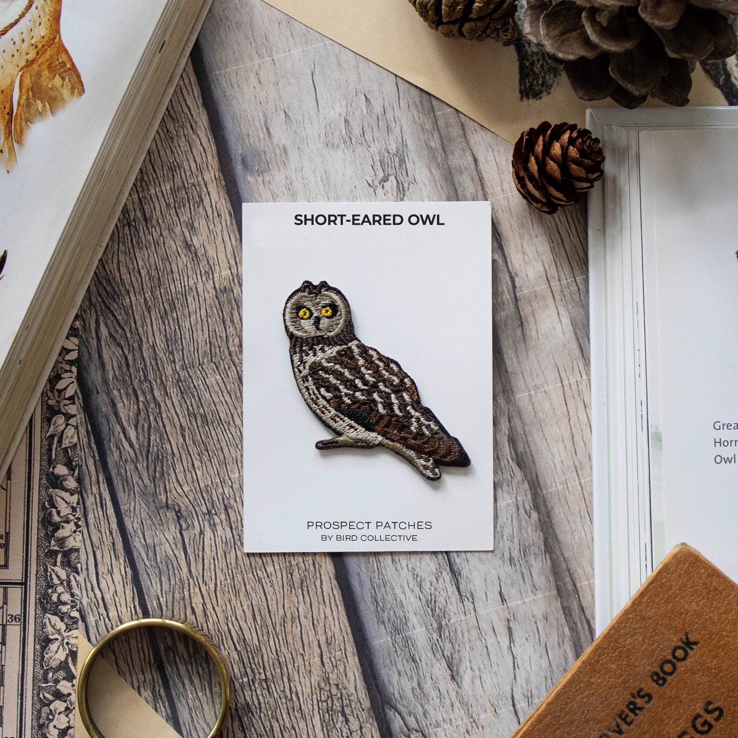 Short-Eared Owl Patch