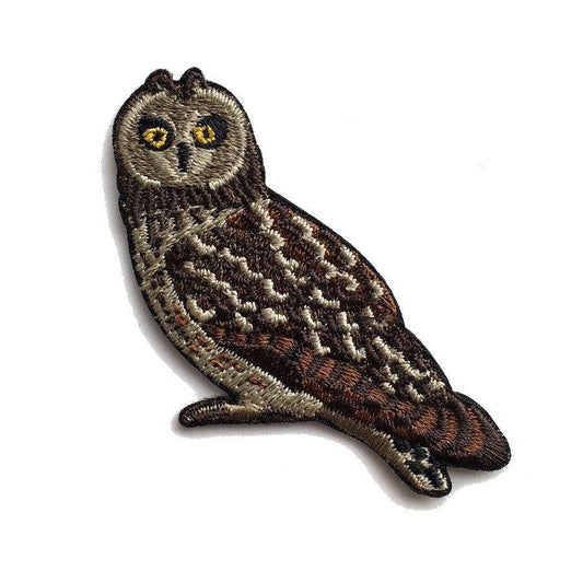 Short-Eared Owl Patch