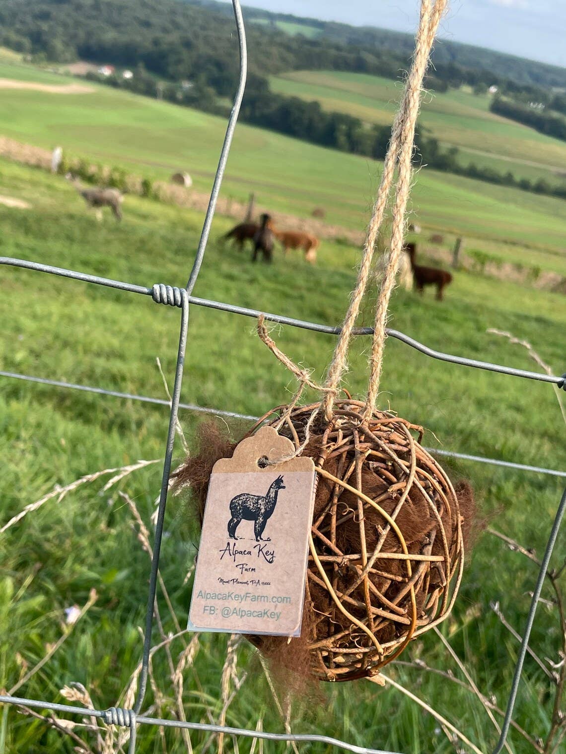 Alpaca-Fleece Filled Bird Nest Starter Grapevine Ball