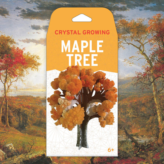 Crystal Growing Maple Tree | 
Craft Kit Science Kit