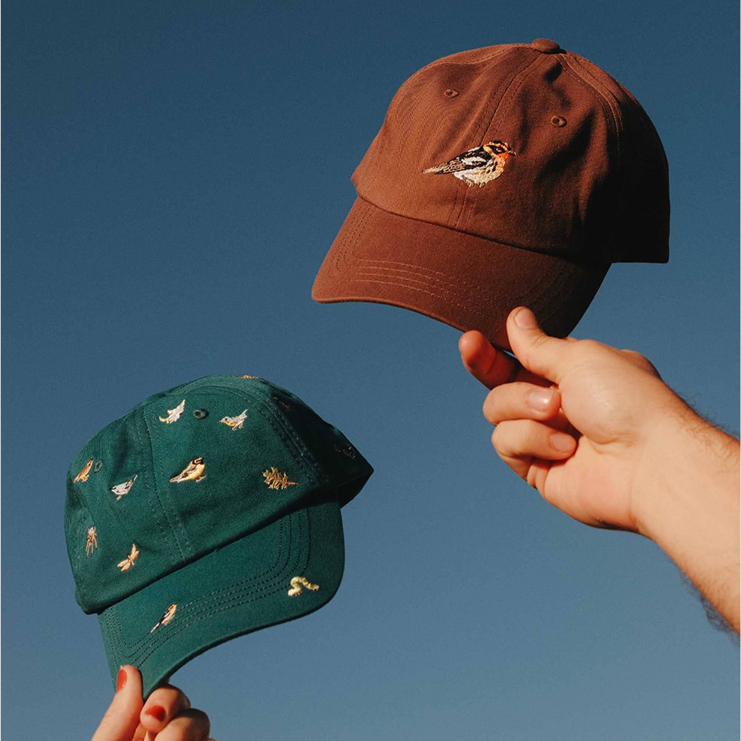 Warbler Hat