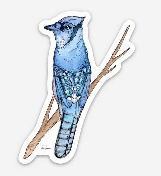 Blue Jay Sticker
