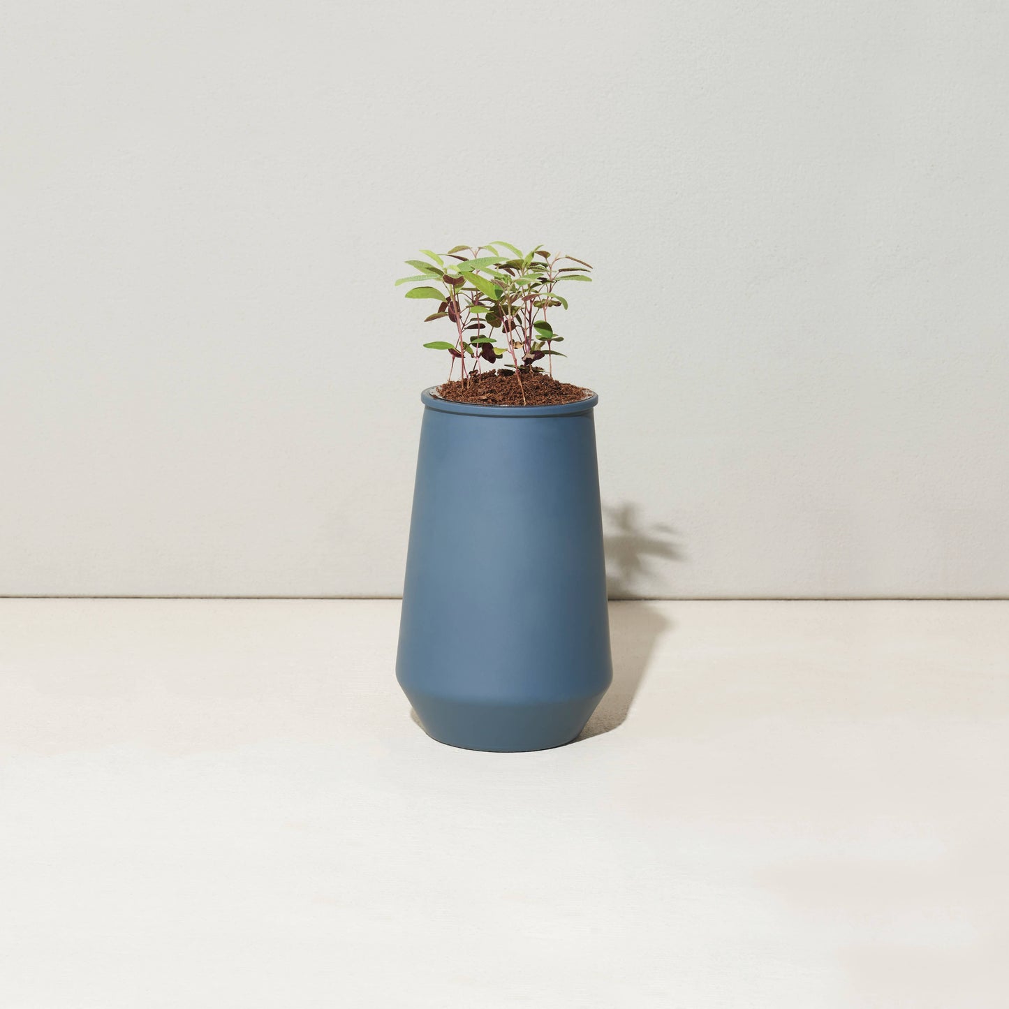Tapered Tumbler
