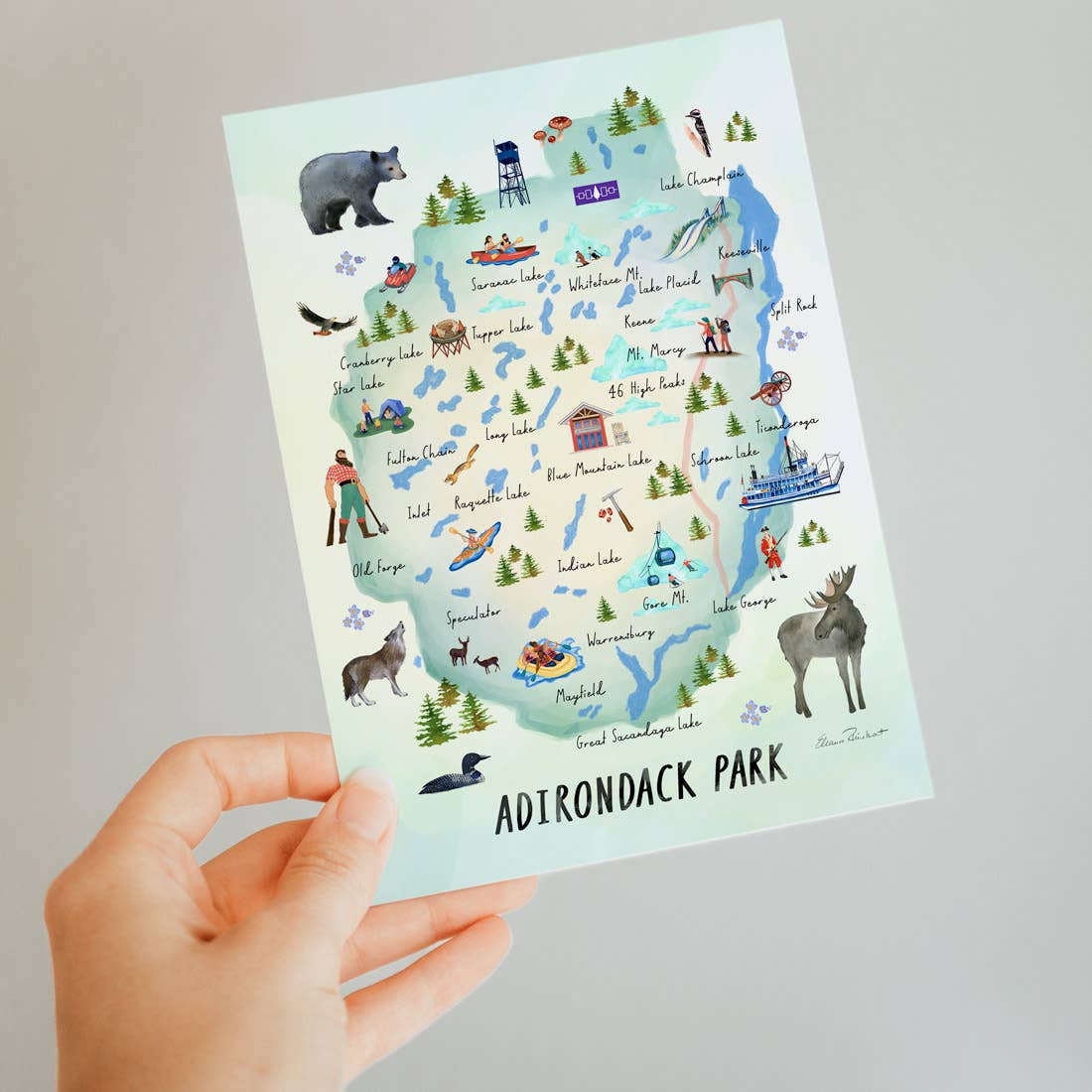 Adirondack Park Folded Notecard, Individual Card